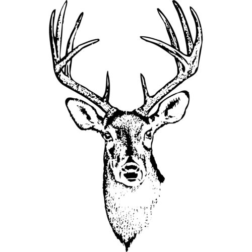 DEER010 Thumbnail