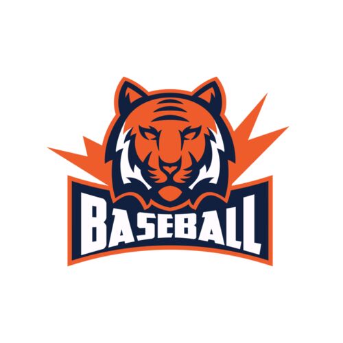 Tiger Team Baseball 01 Thumbnail