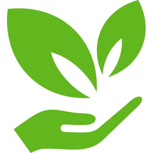 51 Leaves in hands Thumbnail