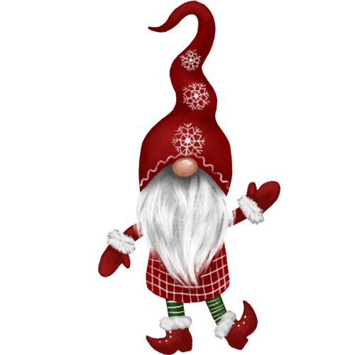 DPA 0243 CHRISTMAS GNOME7 Thumbnail