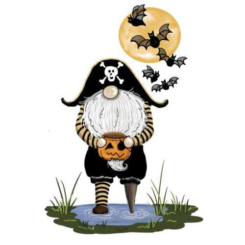 Gnome Pirate Thumbnail