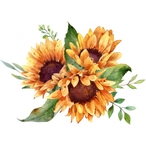 Sunflowers Thumbnail