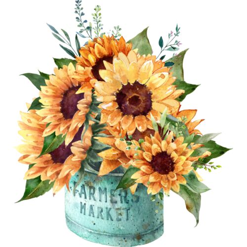 Sunflowers  2  Thumbnail