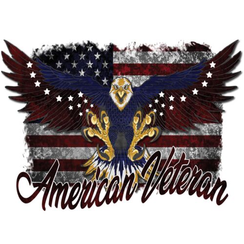 american veteran eagle Thumbnail