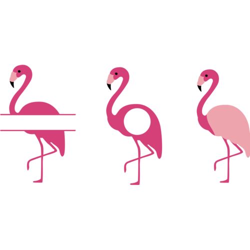 flamingos Thumbnail