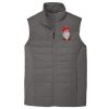 Collective Insulated Vest Thumbnail