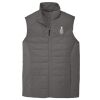 Collective Insulated Vest Thumbnail