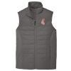 Collective Insulated Vest Thumbnail
