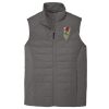 Collective Insulated Vest Thumbnail