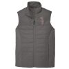 Collective Insulated Vest Thumbnail