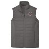 Collective Insulated Vest Thumbnail