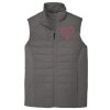 Collective Insulated Vest Thumbnail
