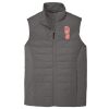 Collective Insulated Vest Thumbnail