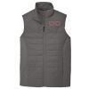 Collective Insulated Vest Thumbnail