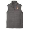 Collective Insulated Vest Thumbnail