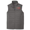 Collective Insulated Vest Thumbnail