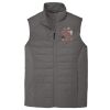 Collective Insulated Vest Thumbnail