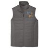Collective Insulated Vest Thumbnail