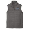 Collective Insulated Vest Thumbnail