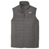 Collective Insulated Vest Thumbnail