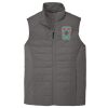 Collective Insulated Vest Thumbnail