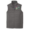 Collective Insulated Vest Thumbnail