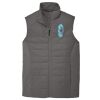 Collective Insulated Vest Thumbnail
