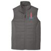 Collective Insulated Vest Thumbnail