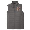 Collective Insulated Vest Thumbnail