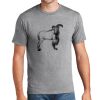 P&C Unisex 4.5oz Fan Favorite Cotton T-Shirt PC450 Thumbnail
