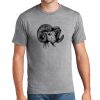 P&C Unisex 4.5oz Fan Favorite Cotton T-Shirt PC450 Thumbnail