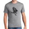 P&C Unisex 4.5oz Fan Favorite Cotton T-Shirt PC450 Thumbnail
