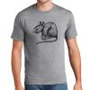 P&C Unisex 4.5oz Fan Favorite Cotton T-Shirt PC450 Thumbnail