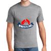 P&C Unisex 4.5oz Fan Favorite Cotton T-Shirt PC450 Thumbnail