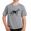 PC Youth Cotton Fan Favorite T-Shirt Thumbnail