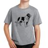PC Youth Cotton Fan Favorite T-Shirt Thumbnail
