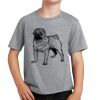 PC Youth Cotton Fan Favorite T-Shirt Thumbnail