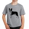 PC Youth Cotton Fan Favorite T-Shirt Thumbnail