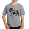 PC Youth Cotton Fan Favorite T-Shirt Thumbnail