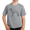PC Youth Cotton Fan Favorite T-Shirt Thumbnail