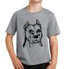 PC Youth Cotton Fan Favorite T-Shirt Thumbnail