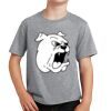 PC Youth Cotton Fan Favorite T-Shirt Thumbnail