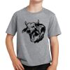 PC Youth Cotton Fan Favorite T-Shirt Thumbnail