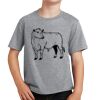 PC Youth Cotton Fan Favorite T-Shirt Thumbnail