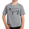 PC Youth Cotton Fan Favorite T-Shirt Thumbnail