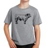 PC Youth Cotton Fan Favorite T-Shirt Thumbnail