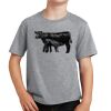 PC Youth Cotton Fan Favorite T-Shirt Thumbnail
