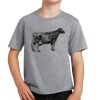 PC Youth Cotton Fan Favorite T-Shirt Thumbnail