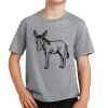 PC Youth Cotton Fan Favorite T-Shirt Thumbnail