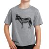 PC Youth Cotton Fan Favorite T-Shirt Thumbnail